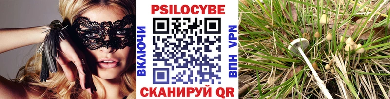 Псилоцибиновые грибы MAGIC MUSHROOMS  OMG маркетплейс  Воткинск 